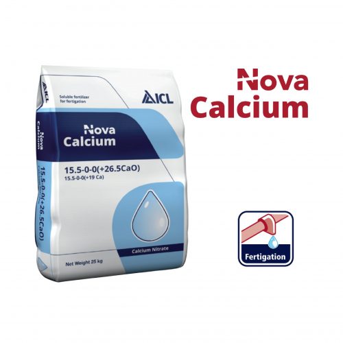 Nova Calcium1 01 Scaled 1.jpg