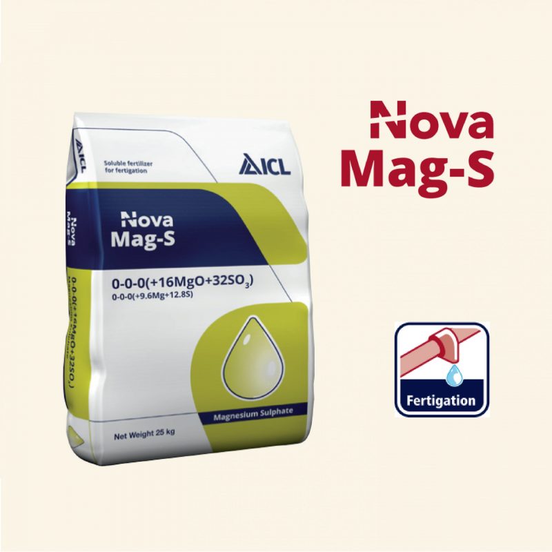 Nova Mags Vuong02 01 Scaled 1.jpg
