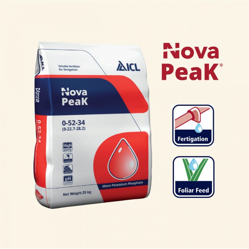 Nova Peak2 01 Scaled 1.jpg